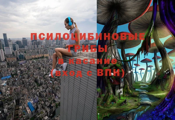 MESCALINE Алзамай